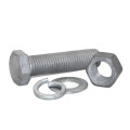 Hot sales Hot Dip Galvanizing Custom Hex/Square Head Bolt